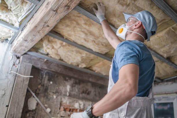 Best Residential Insulation in Waipio, HI