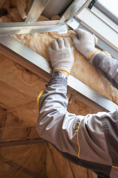 Best Cellulose Insulation in Waipio, HI